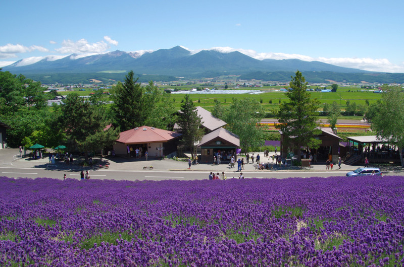 ファーム富田