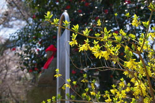 高幡不動尊201204-3