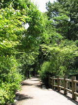 親水公園1-1