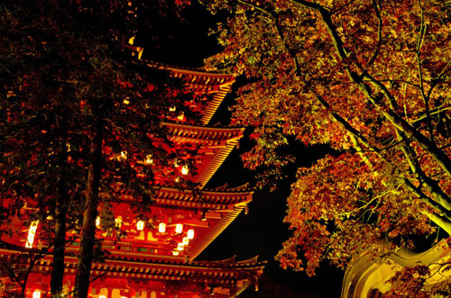 高幡不動尊201111-5