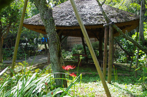 京王百草園201109-6