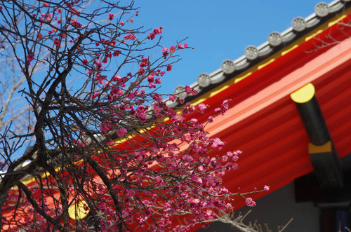 高幡不動201402-5