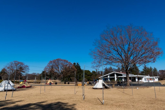 昭和記念公園201901