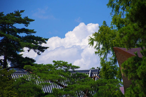 高幡不動201309-11