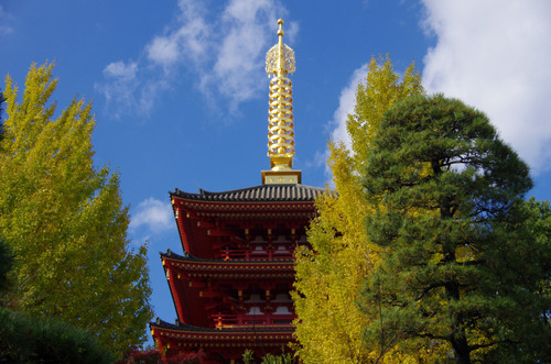 高幡不動201111-11