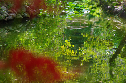 京王百草園201309-10