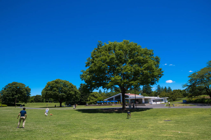 昭和記念公園201805
