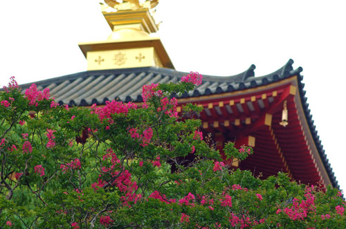 高幡不動201409-4