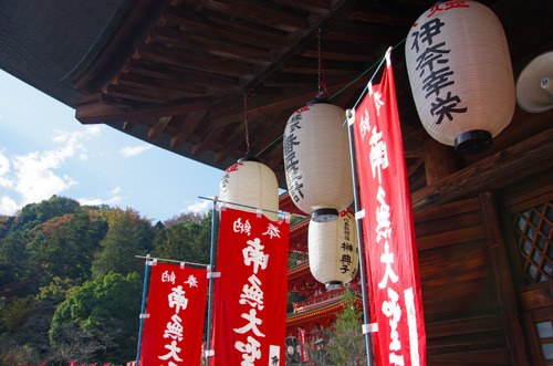 高幡不動201111-5