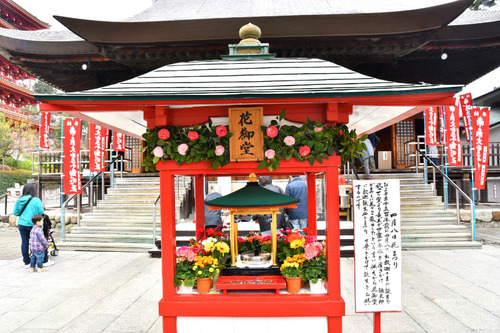 高幡不動尊201704