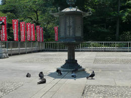 高幡不動尊090829-8