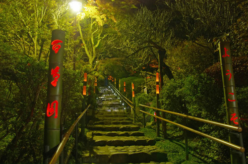 京王百草園201111-13