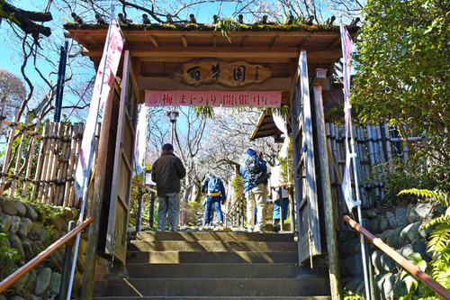 京王百草園201702
