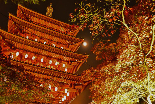 高幡不動尊万燈会2015-4