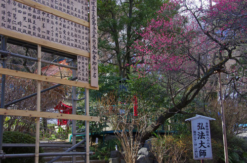 高幡不動尊201101-6