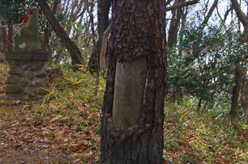 高幡不動尊201101-10