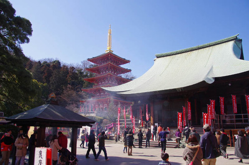 高幡不動201202-15