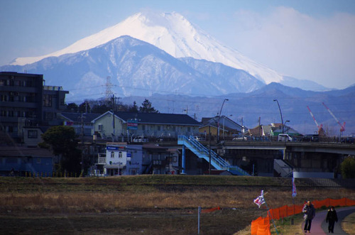 2月の散歩道201302-6
