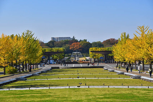 昭和記念公園201611