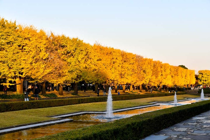 昭和記念公園201711