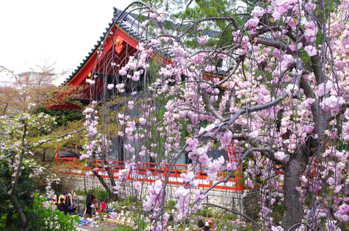 高幡不動201404-7