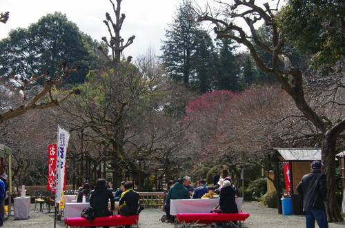 京王百草園20120303-13