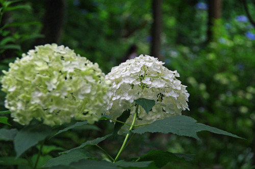 ��Ȩ��ưº20100710-10