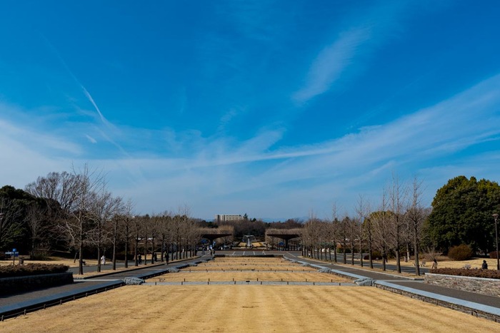昭和記念公園201902