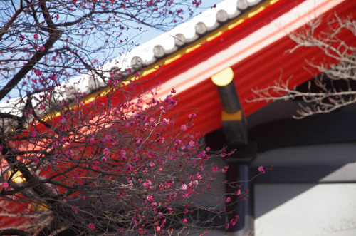 高幡不動201402-13