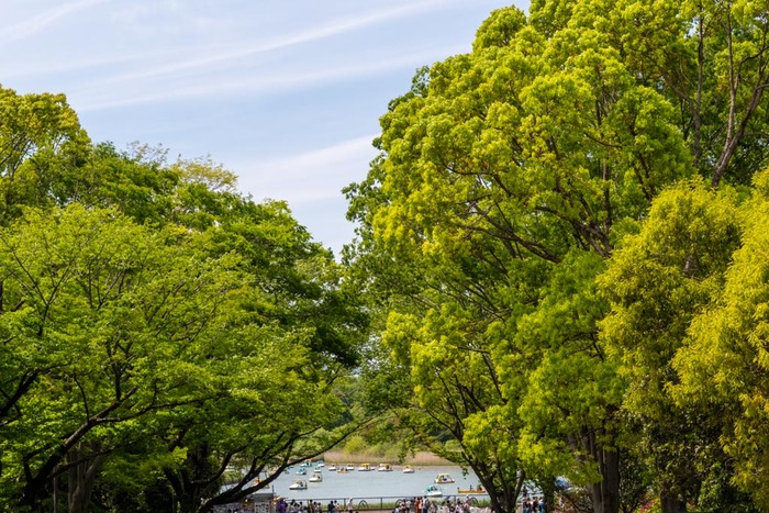 昭和記念公園201905
