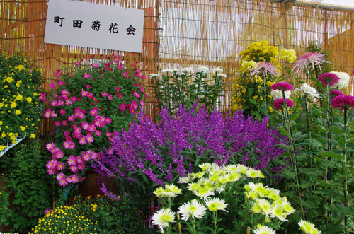 高幡不動201311-1
