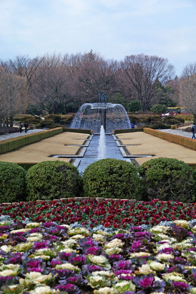 昭和記念公園201002-18