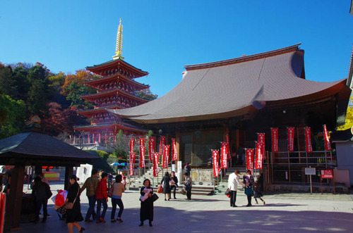 高幡不動尊201311-1