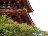 高幡不動081004-7