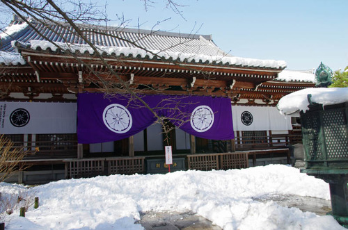 高幡不動201402-8