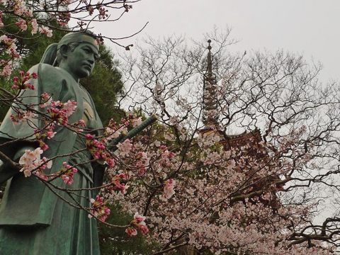 高幡不動尊090404-4