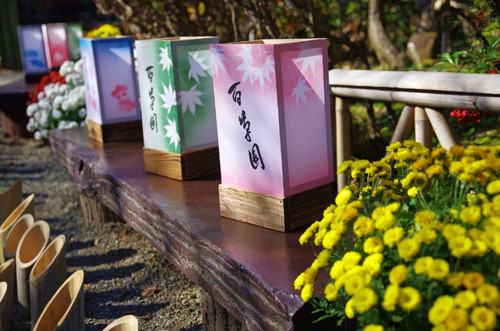 京王百草園201311-6