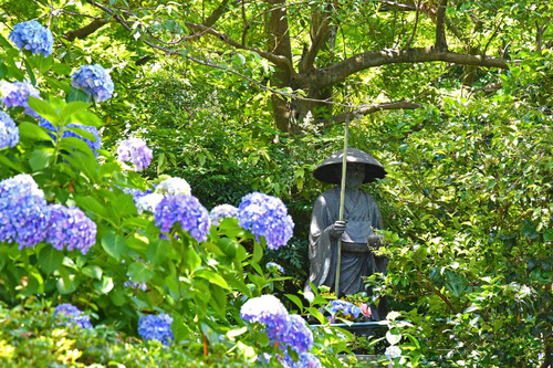高幡不動尊201606-1
