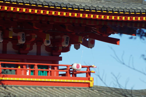 高幡不動201312-9