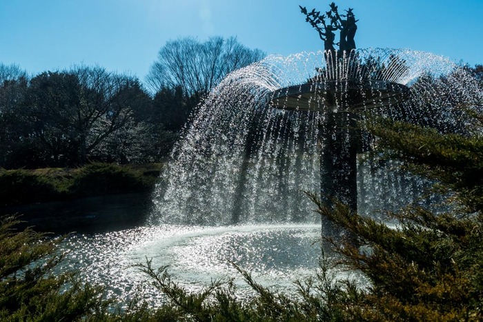 昭和記念公園201901