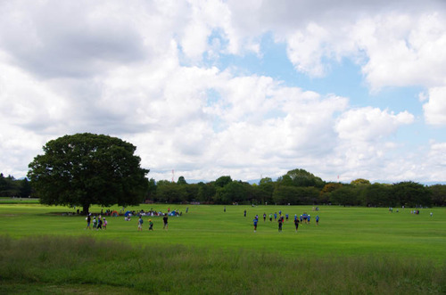 昭和記念公園201209-13