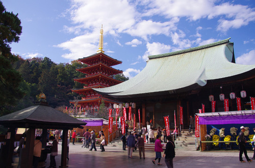 高幡不動201111-4