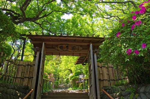 京王百草園201305-1