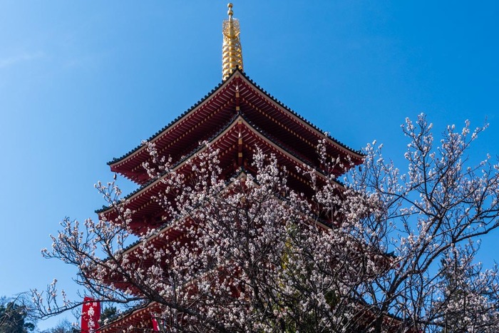 高幡不動尊201903