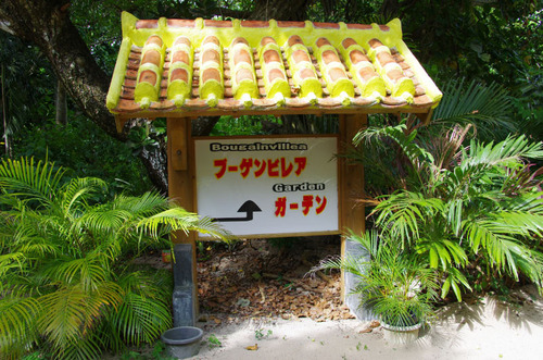 沖縄由布島2011-7