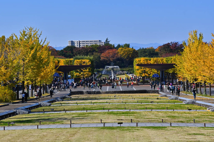 昭和記念公園201711