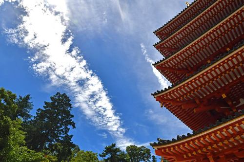 高幡不動尊201608-7