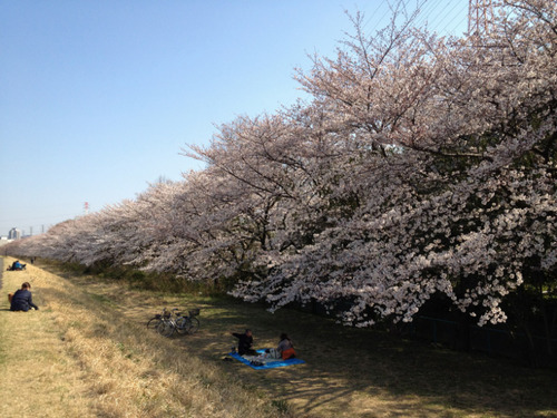 我が家のそら201204-9