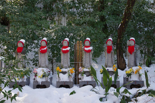 高幡不動201402-9