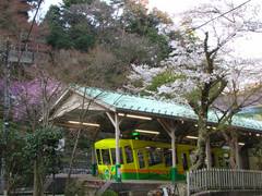 高尾山0904-8